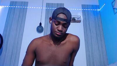 _black_stallion