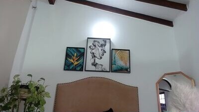 adam_evehotroom public webcam profile photo 6