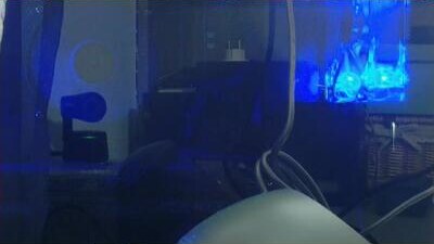 aitanna_love public webcam profile photo 10