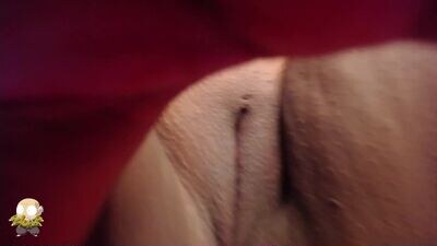 alanna_brunette public webcam profile photo 4