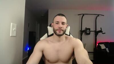 alpha_dominus_king