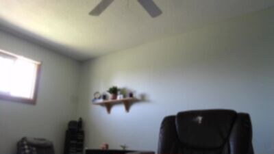 alwayzhigh public webcam profile photo 3