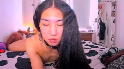 asiancvnt public webcam profile photo 8