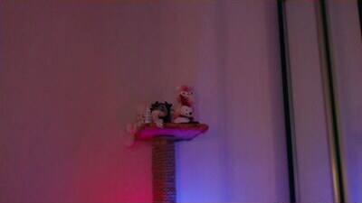 bad_roxy public webcam profile photo 10