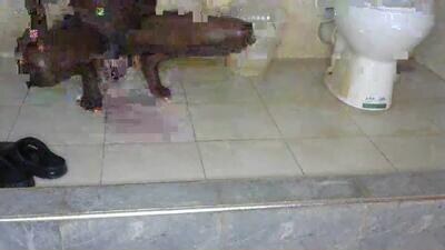 beib_love public webcam profile photo 3