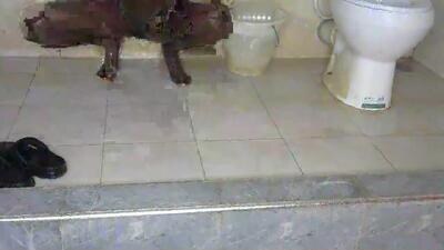 beib_love public webcam profile photo 4