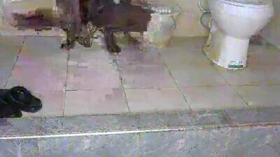 beib_love public webcam profile photo 5