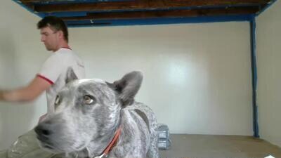 bryancavallo public webcam profile photo 4