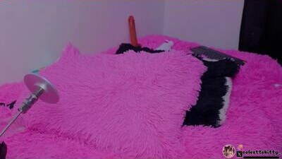 celestte_evans_1 public webcam profile photo 9