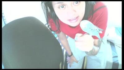 cleopatra_ll