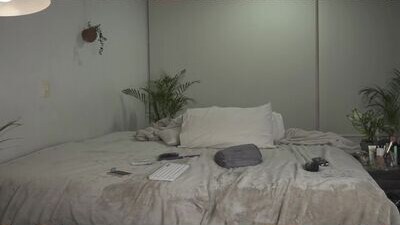 colouristic public webcam profile photo 5