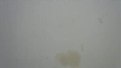 cute_selena54 public webcam profile photo 8