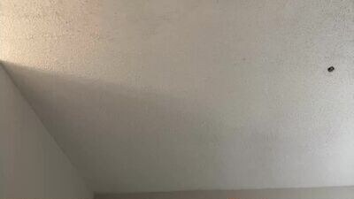 d33d667696 public webcam profile photo 4