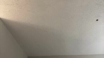 d33d667696 public webcam profile photo 5