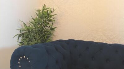 emmanuel_santos public webcam profile photo 4