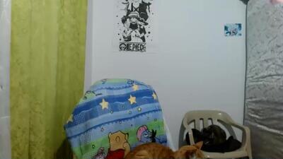 escarchaazul public webcam profile photo 2