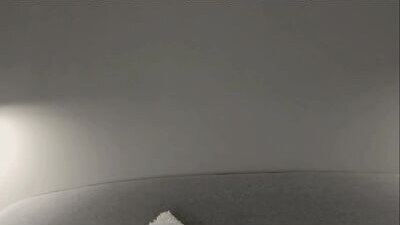evvantmu public webcam profile photo 8