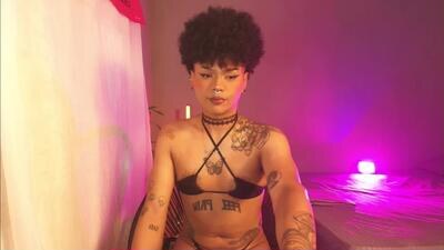 exotic_medussapp