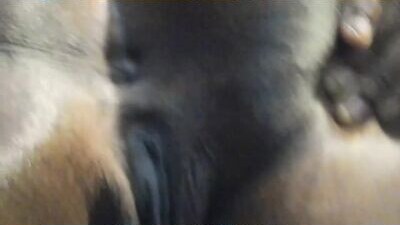 exoticaquarius public webcam profile photo 6