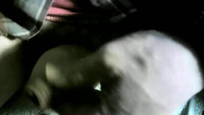 felicaste public webcam profile photo 2