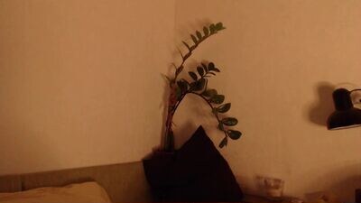 gingerbread__house public webcam profile photo 2