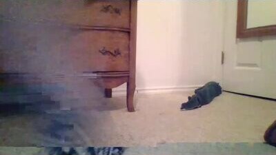 good_pet public webcam profile photo 7