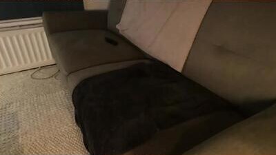 hardsherbert public webcam profile photo 6