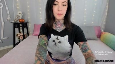 harliequinnx