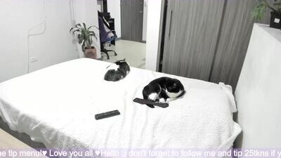 honey_hoe public webcam profile photo 5