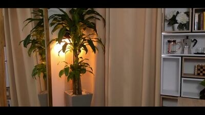 iartecaffe public webcam profile photo 2