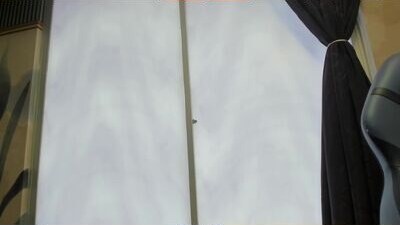 iris_sunshine public webcam profile photo 8