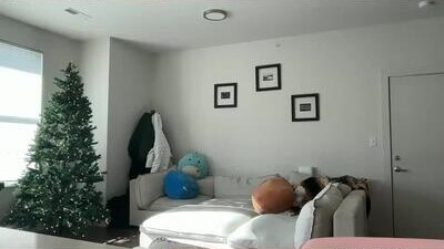 itssheababy public webcam profile photo 10