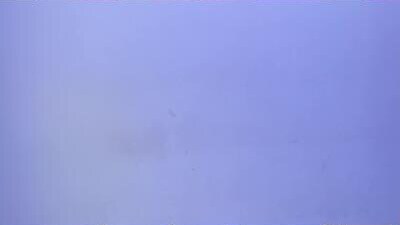 jeannewilliams_ public webcam profile photo 7