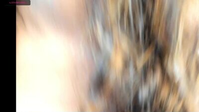 josie_kitty