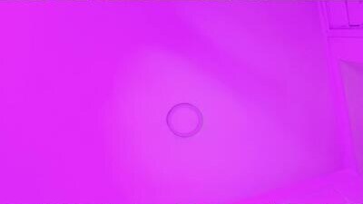 kary_bm public webcam profile photo 5