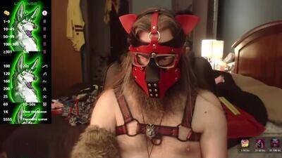 kinkywolf87