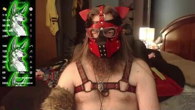 kinkywolf87 public webcam profile photo 2