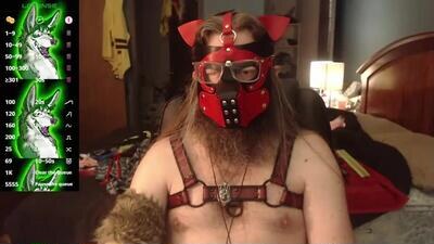 kinkywolf87 public webcam profile photo 3