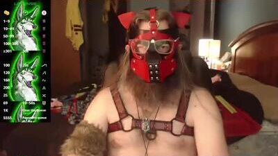 kinkywolf87 public webcam profile photo 7