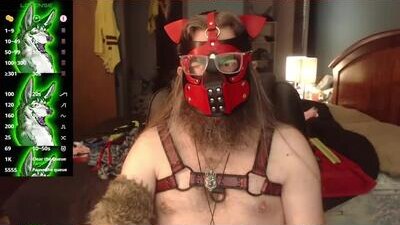 kinkywolf87 public webcam profile photo 8