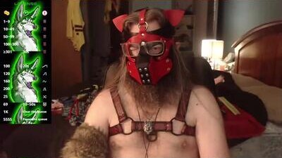 kinkywolf87 public webcam profile photo 9