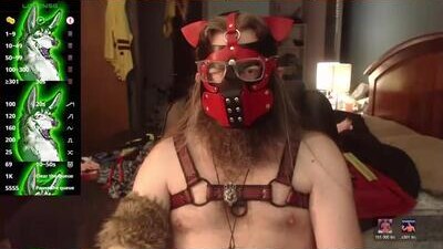 kinkywolf87 public webcam profile photo 10
