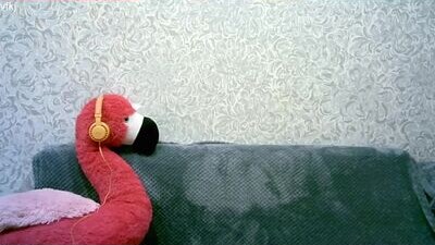 kira_flamingo public webcam profile photo 5