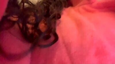 kylieexoxoxo2432 public webcam profile photo 3