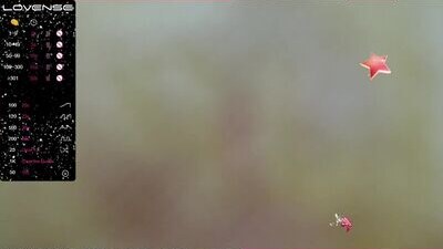latin_ashley_ public webcam profile photo 7