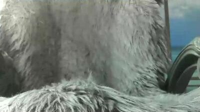 leckfreund53 public webcam profile photo 7
