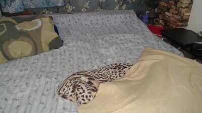 lexi818 public webcam profile photo 9