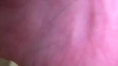 limbo2109 public webcam profile photo 4