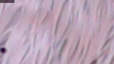 lynnallen_ public webcam profile photo 4