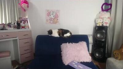 mady_short public webcam profile photo 9